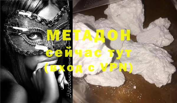 ГАЛЛЮЦИНОГЕННЫЕ ГРИБЫ Ельня