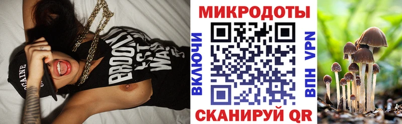 Галлюциногенные грибы Cubensis  Михайлов 